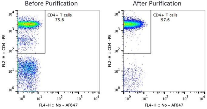 CD4 T Cells Before and After Purification