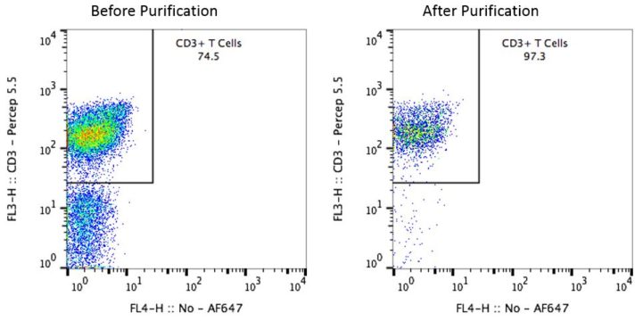 Cyno CD3 Pan T Cells Before and After Purification