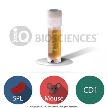 CD1 Mouse Splenocytes