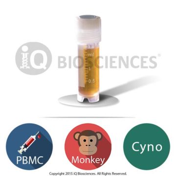 Cynomolgus Monkey PBMCs