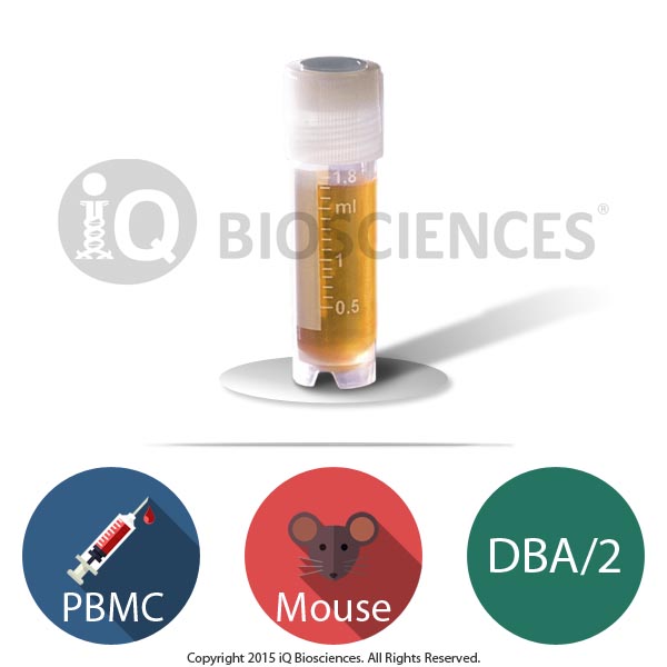 DBA/2 Mouse PBMCs