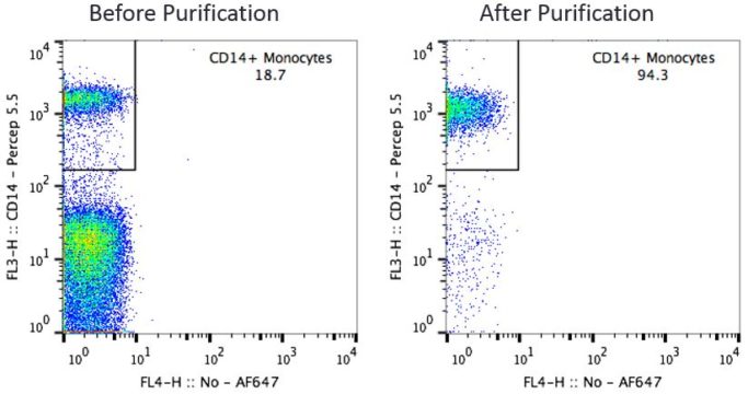 CD14 Monocytes Before and After Purification