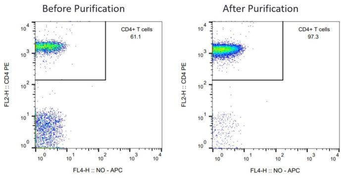 Cyno monkey CD4 T cells Pre and Post sort purity
