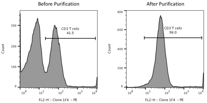 CD3 Pan T Cells Before and After Purification