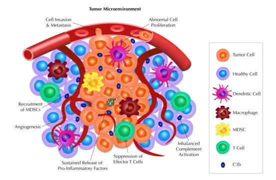 tumor microenvironment with legend