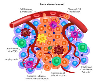 tumor microenvironment