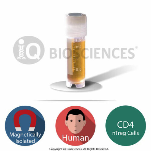 Human CD4+CD25+FOXP3+ Natural T Regulatory Cells (nTregs)