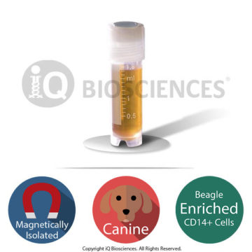 Beagle Canine CD14+ Cells