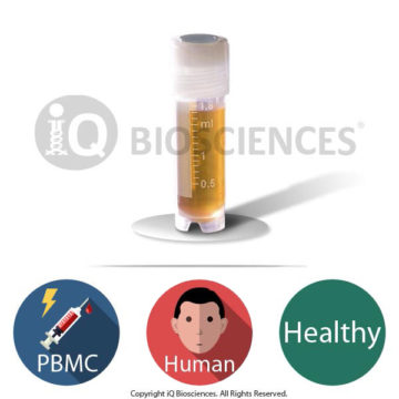 Irradiated Healthy Human PBMCs