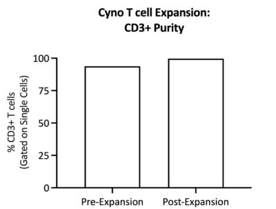 CD3+ purity tends to increase after expansion