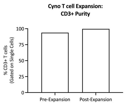 CD3+ purity tends to increase after expansion