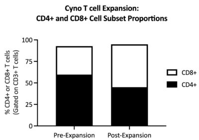CD4+ T cell frequency slightly decreases after expansion with a concordant increased in CD8+ T cell frequency