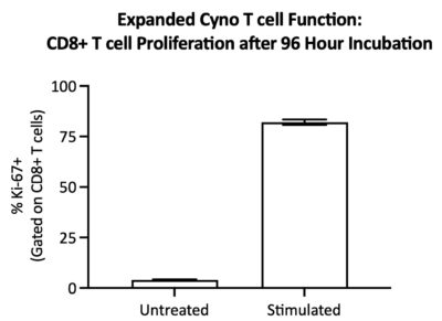 CD8+ T cells within expanded cyno CD3+ T cells proliferate in response to stimulation