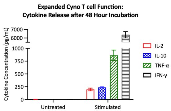 Expanded cyno CD3+ T cells secrete cytokines upon activation