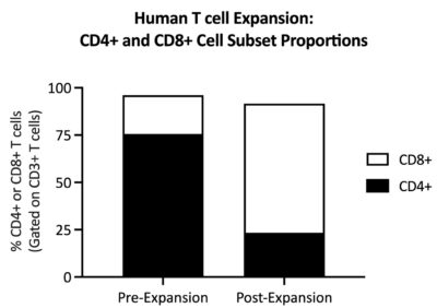 CD4+ T cell frequency decreases after expansion with a concordant increase in CD8+ T cell frequency.