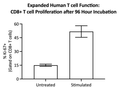CD8+ T cells within expanded human CD3+ T cells proliferate in response to stimulation